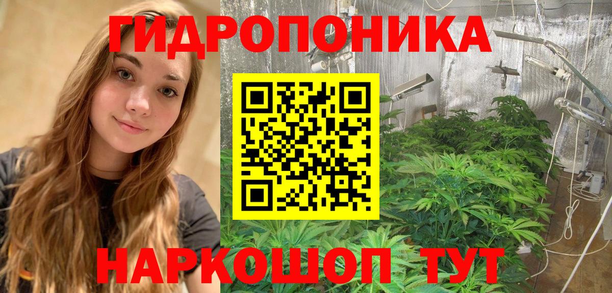 Конопля индика Реутов